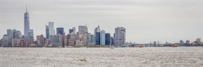 New York - Manhattan skyline from Liberty Island